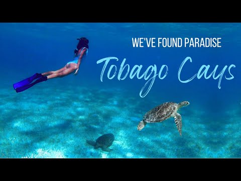 We SAILED to Tobago Cays 🪸🐢🐠 Saint Vincent and the Grenadines