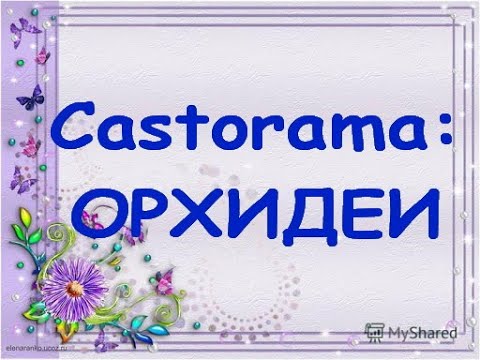 ОТЛИЧНЫЙ завоз ОРХИДЕЙ:Castorama,14.05.20.Самара.(Фронтеру назвала Клеопатрой)))