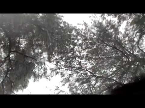 Hail Storm In Hamilton,AL