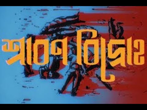 জুলাই গণঅভ্যুত্থানের ওপর নির্মিত তথ্যচিত্র ‘শ্রাবণ বিদ্রোহ’