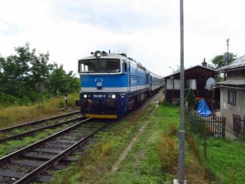 Rychlík míjí odbočku Zálučí