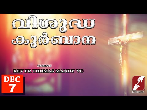 SUNDAY HOLY MASS LIVE @ 6 AM, 7-DEC-2025|FR THOMAS MANDY VC|MALAYALAM QURBANA|TODAY MASS|GOODNESS TV