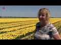 Brandstofprijzen hebben weerslag op bezoekersaantallen Tulpenroutes