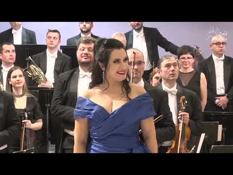 Levente György - O sole mio - with Rodica Vica