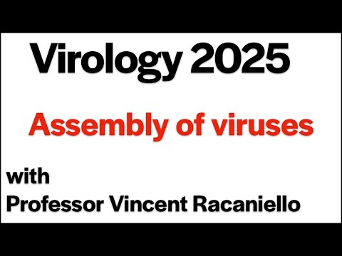 Virology Lectures 2025 #10: Assembly of Viruses