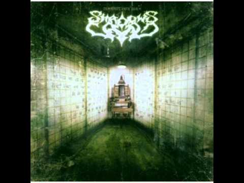 Shadows Land - The energy of masses