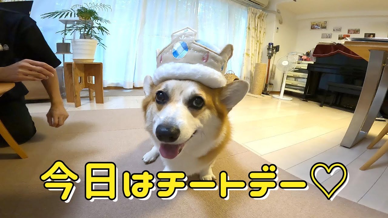 フライザップの成果が出たのかどうか、ビフォーアフター見てください