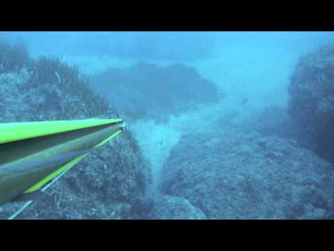 Livorno 23 Novembre 2011.mov