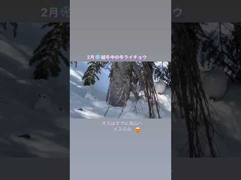 IUCN分類における絶滅の危険性を示す図。