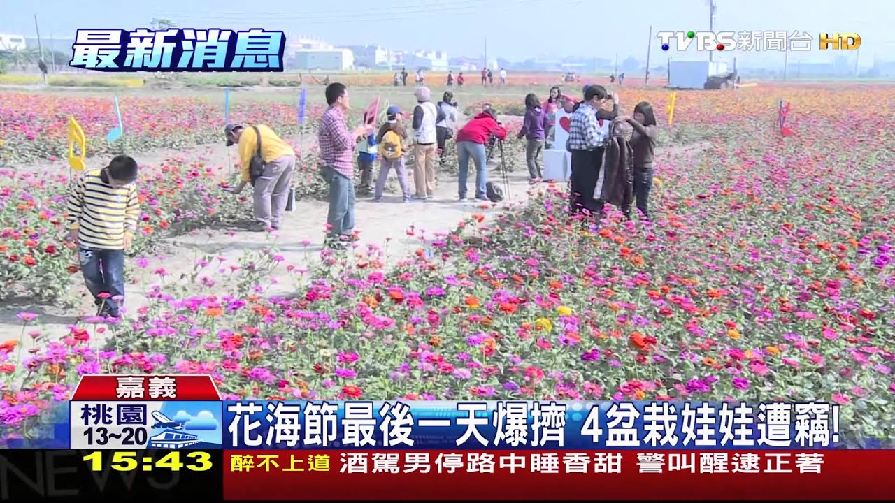 花海節最後一天爆擠 4盆栽娃娃遭竊!