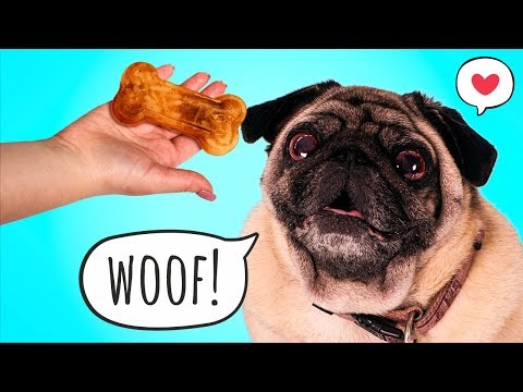 5 Easy to Make DIY Dog Stuff and Gift Ideas For Dog Owners