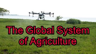 The Global System of Agriculture! AP Human Geography (Advanced Placement)