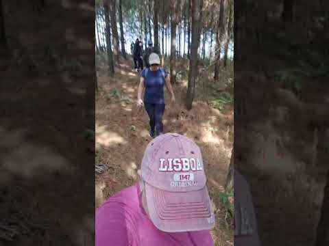 Mandirituba (PR) Rota das Camomilas