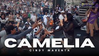 Download lagu CAMELIA - CINDY MARENTA NEW KENDEDES LIVE RINGINBAGUS PUNCU KEDIRI 2025 mp3