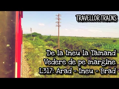 Linia 317: Arad - Ineu - Brad | De la Ineu la Tămand (Side-view)