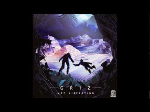 GRiZ - Mr B (ft. Dominic Lalli)