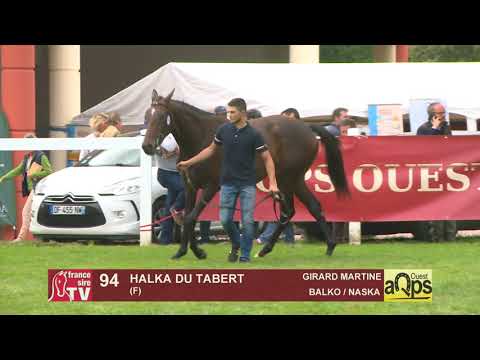 Show Aqps Ouest 2019 : Lot 94 - HALKA DU TABERT