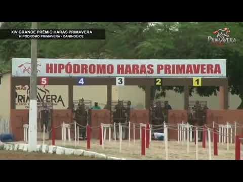 Final GP HARAS PRIMAVERA 2021