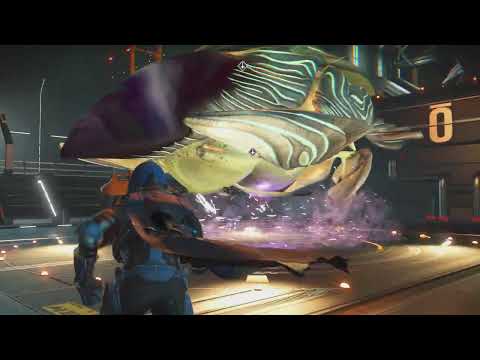 No Man's Sky_Glitch after Space Whale? P1