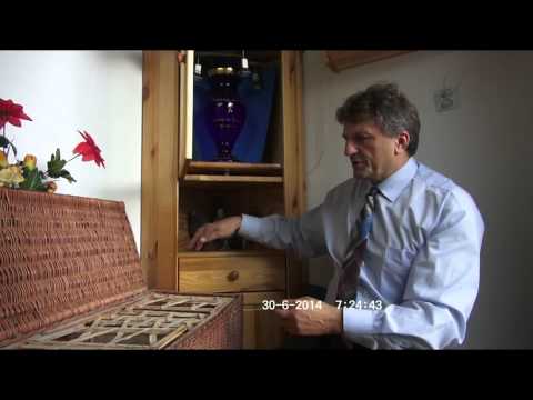 Szybkie gołębie do kupienia Tel. 728 465 939