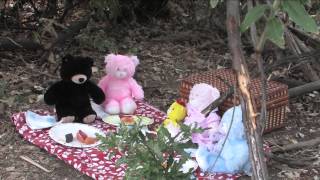 Teddy Bear's Picnic