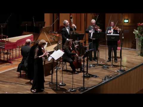 Bach: Brandenburg Concerto No. 5 in D Major BWV 1050 Laurence Cummings, FestspielOrchester Göttingen