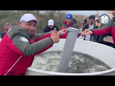 "Bakı Balıqçılar və Sualtı Ovçular Klubu" İctimai Birliyinin 2023-cü il üzrə qısa hesabatı... thumbnail