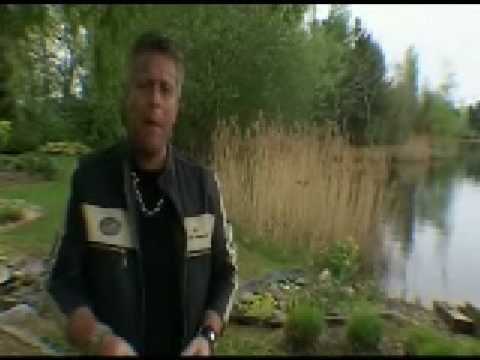 Jack van Raamsdonk Speel die dans