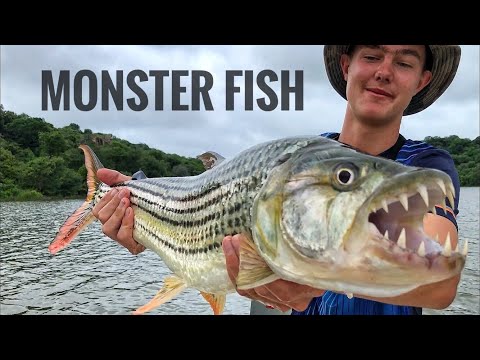 Catching Monster Fish on Big Live Baits! Part 2