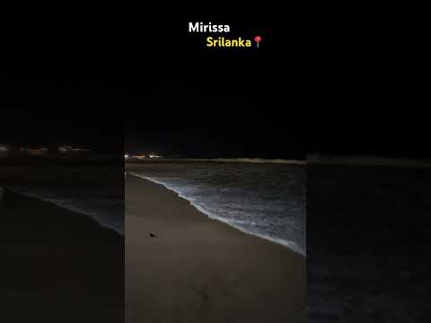 Mirissa,Srilanka #srilanka #mirissa #mirissabeach #travel #sea #srilankanhotels #nature #nightlife