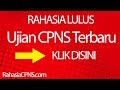Panduan Terbaru Contoh Soal CPNS | Latihan Soal CPNS | Penerimaan CPNS