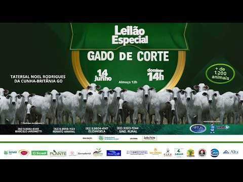 LEILÃO ESPECIAL GADO DE CORTE AGREOPEC 2026 BRITÂNIA - GO . 14h TATERSAL NOEL RODRIGUES DA CUNHA
