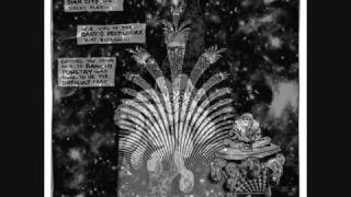 Rancid Poultry - Qaotic Pestilgence - Splinters Of Plasma, pt1