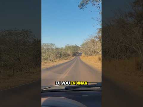 Como chegar no ponto de Pesca Paradão em São José da Bela Vista (Perto de Franca SP) #pesca