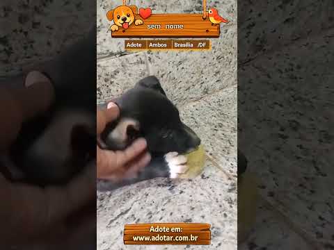 Vídeo de sem nome 