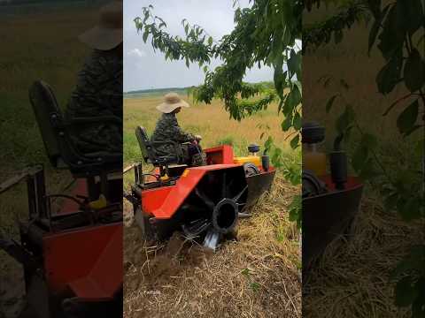 This tractor plowed easily, even in the mud |#shorts