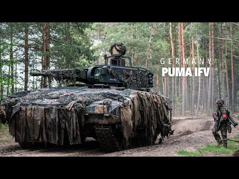 European Defense and Latin Sentinel