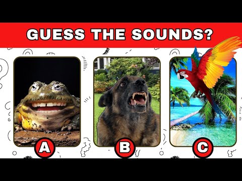 Guess the Sound Game | 20 Sounds to Guess