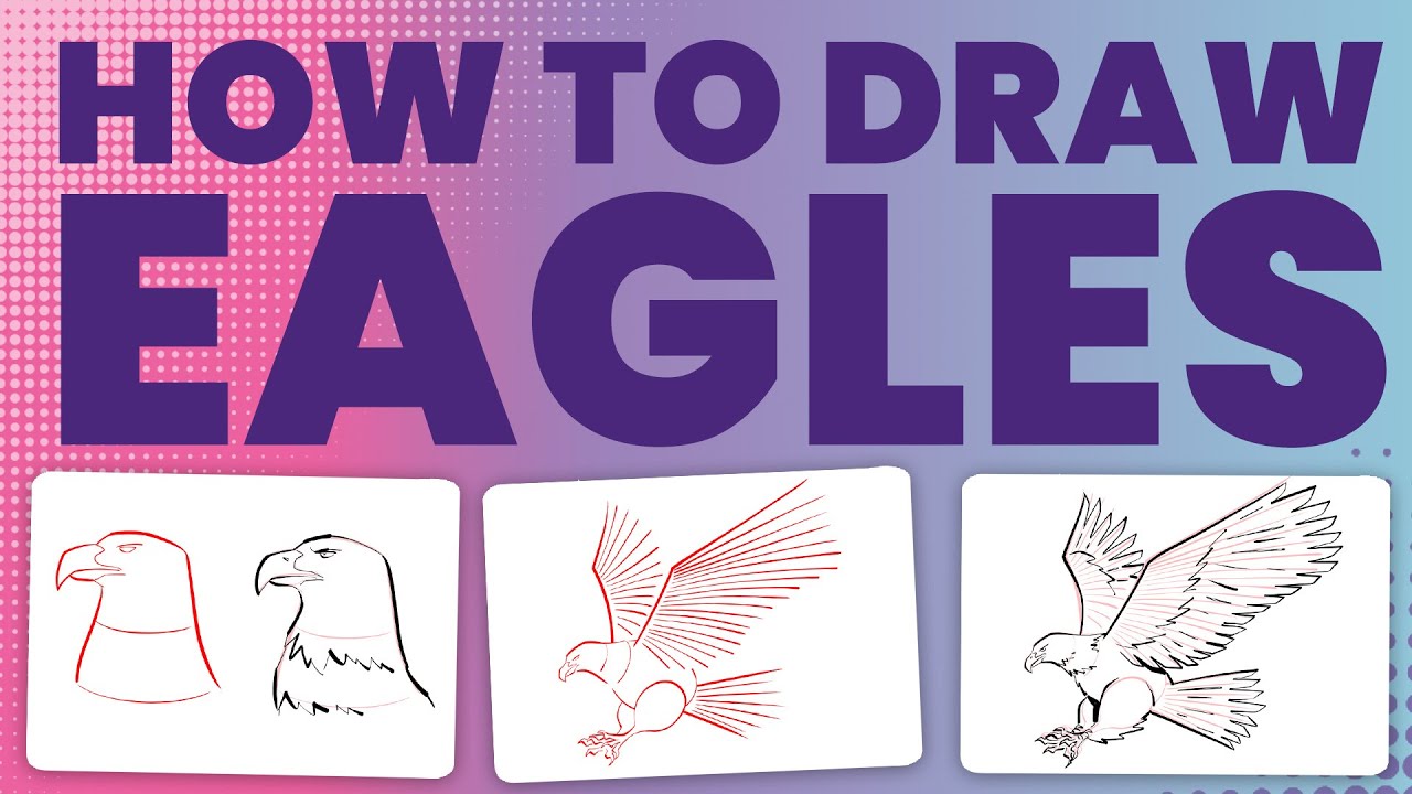 How to draw eagles
