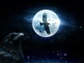 Crow ~ Dan Fogelberg [ CC ]