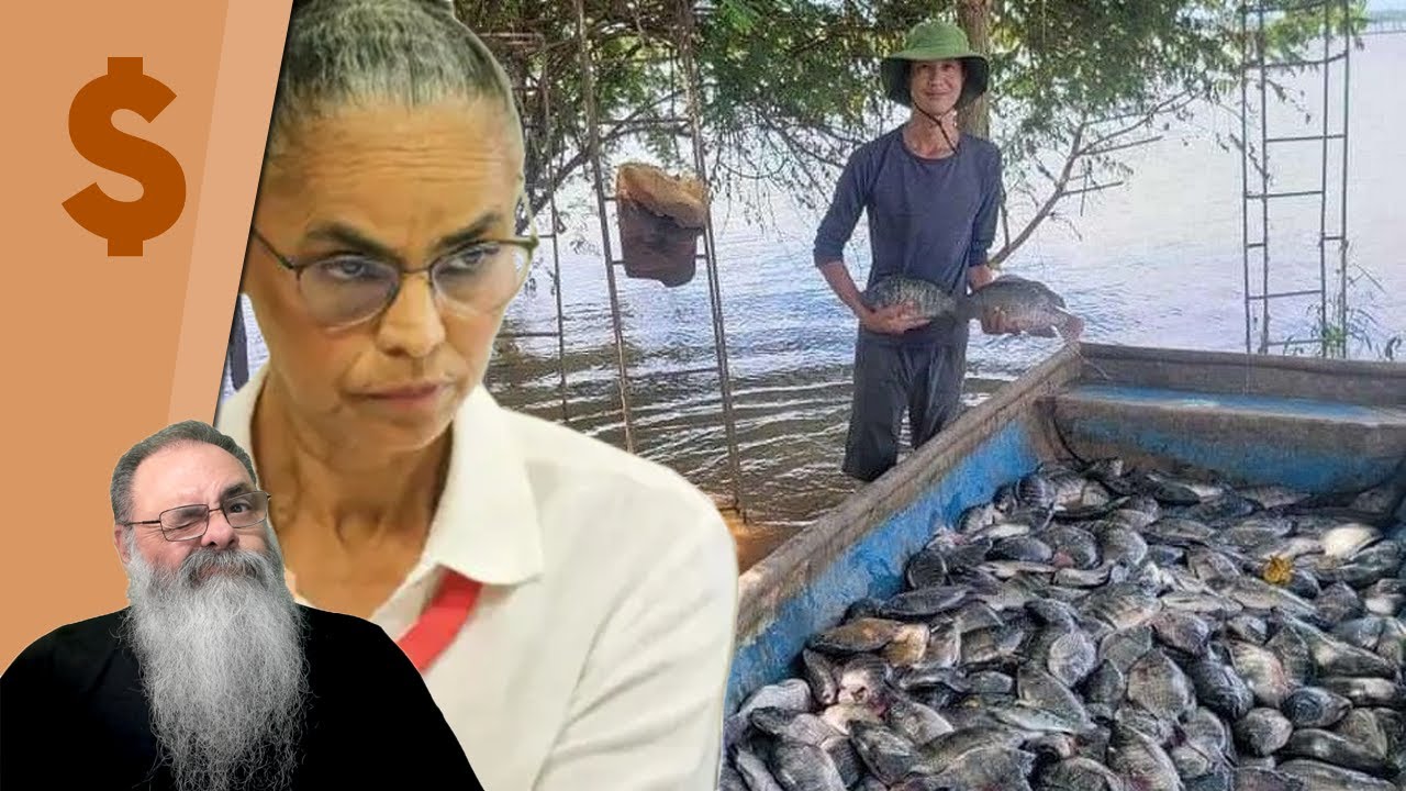 MARINA DIFICULTA CRIAÇÃO de TILÁPIA do BRASIL e, ao MESMO TEMPO, JBS IMPORTA TILÁPIA do VIETNAM