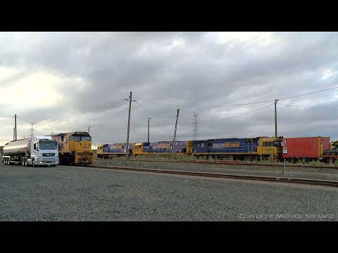 1MP2 Pacific National Steel & Container Wagons (21/2/2021) - PoathTV Australian Trains & Railways