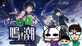 【ストーリー＆雑談】朝活!!とあるキャラを育成する為にストーリー進める【鳴潮】