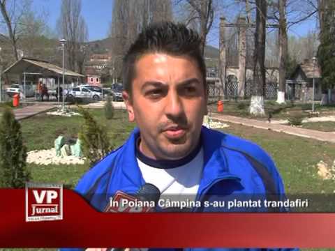În Poiana Câmpina s-au plantat trandafiri