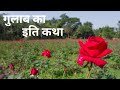 अज्ञात गुलाब Unknown History Of The Rose Presentdocumentary