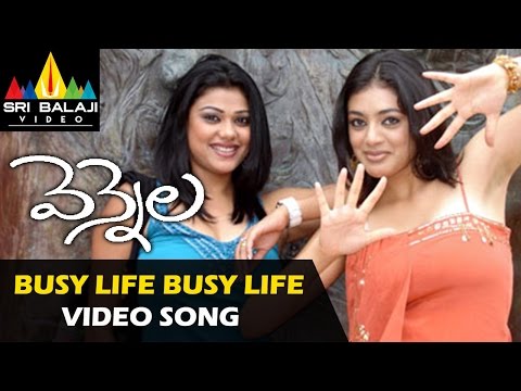 Vennela Video Songs | Busy Life Video Song | Raja, Parvati Melton | Sri Balaji Video