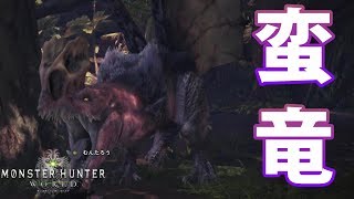 アンジャナフの翼って飛べるの？ｗｗ【MHW】