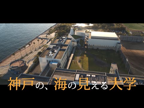 経済経営学科 2021年７月　神戸国際大学　沖縄エリアCM15秒版