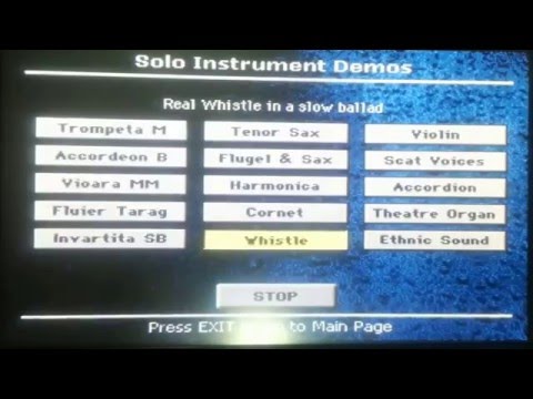 Korg PA300 - Solo Instruments Internal Demo