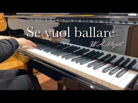 Bravo, signor padrone!...Se vuol ballare, Karaoke, with Lyrics, Le Nozze di Figaro, Mozart